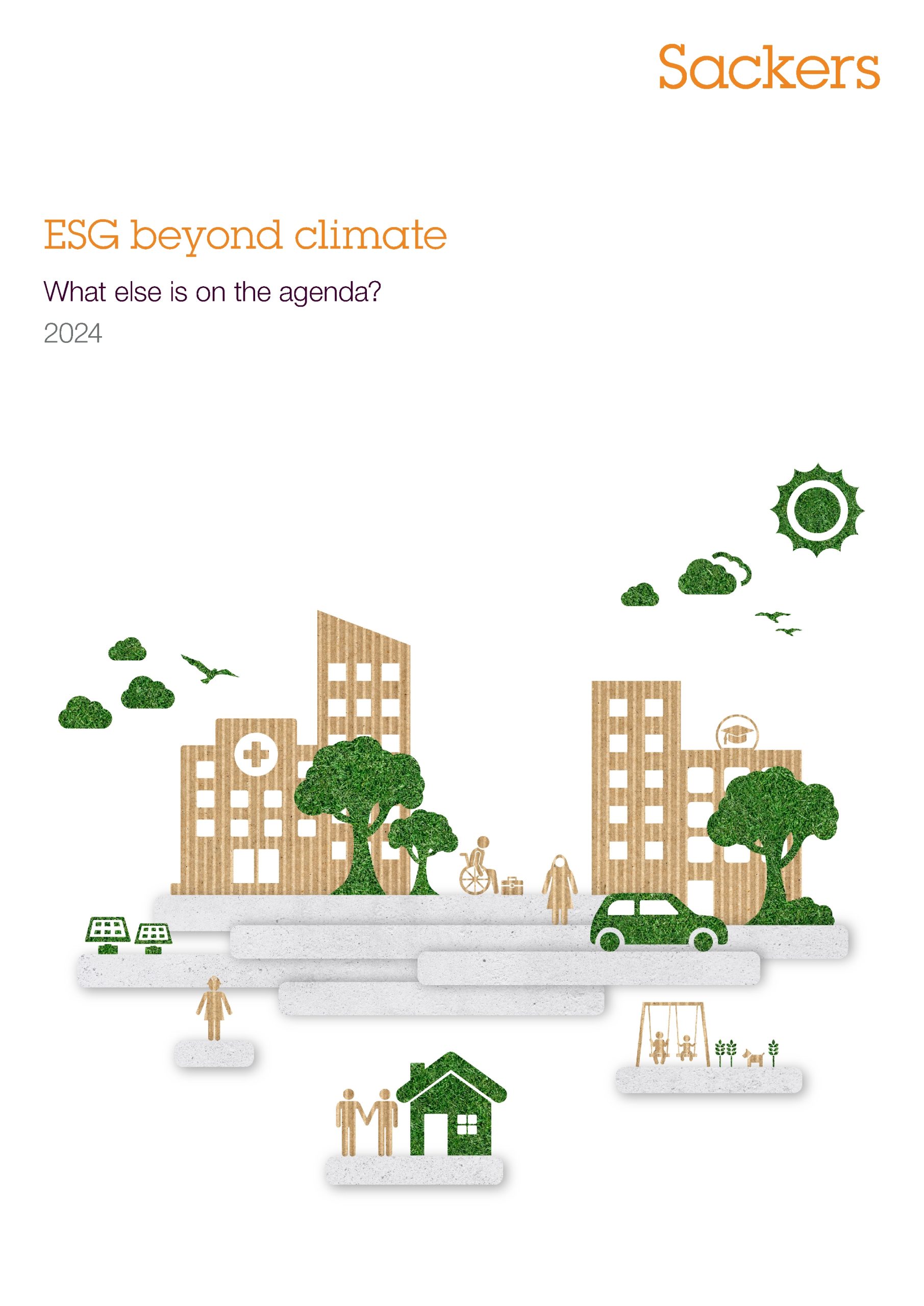 ESG beyond climate