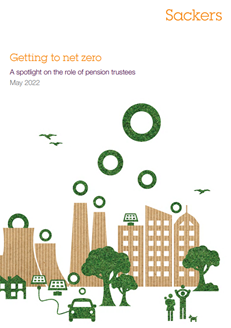 Net zero spotlight
