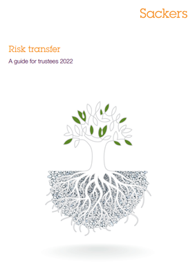 Risk transfer guide 2022